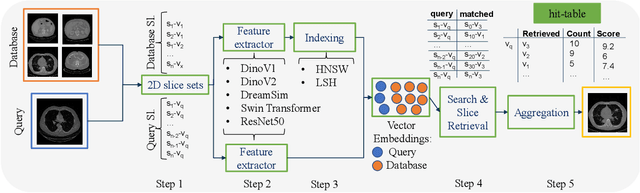 Figure 1 for Content-Based Image Retrieval for Multi-Class Volumetric Radiology Images: A Benchmark Study