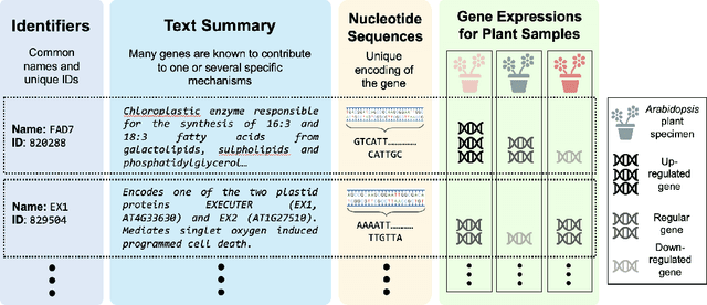 Figure 3 for AGP: A Novel Arabidopsis thaliana Genomics-Phenomics Dataset and its HyperGraph Baseline Benchmarking