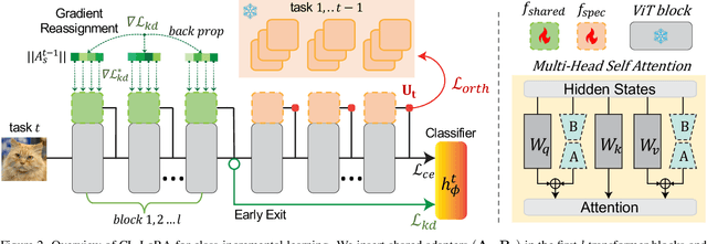 Figure 3 for CL-LoRA: Continual Low-Rank Adaptation for Rehearsal-Free Class-Incremental Learning