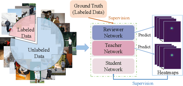 Figure 1 for A New Teacher-Reviewer-Student Framework for Semi-supervised 2D Human Pose Estimation