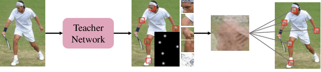 Figure 3 for A New Teacher-Reviewer-Student Framework for Semi-supervised 2D Human Pose Estimation