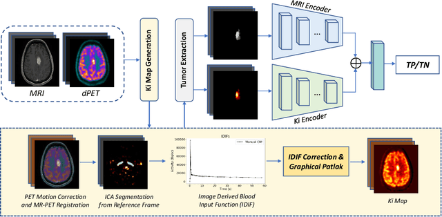 Figure 1 for Multimodal Deep Learning to Differentiate Tumor Recurrence from Treatment Effect in Human Glioblastoma
