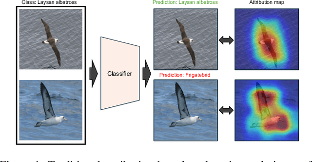 Figure 1 for Towards Fine-Grained Interpretability: Counterfactual Explanations for Misclassification with Saliency Partition