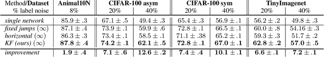 Figure 4 for On Local Overfitting and Forgetting in Deep Neural Networks