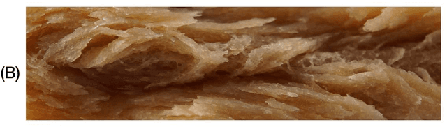 Figure 1 for A MATLAB tutorial on deep feature extraction combined with chemometrics for analytical applications