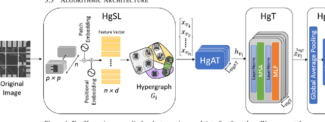 Figure 4 for Vision HgNN: An Electron-Micrograph is Worth Hypergraph of Hypernodes