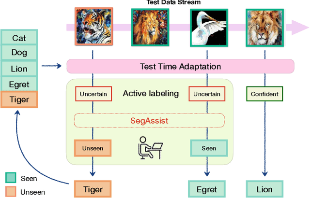 Figure 2 for Segmentation Assisted Incremental Test Time Adaptation in an Open World