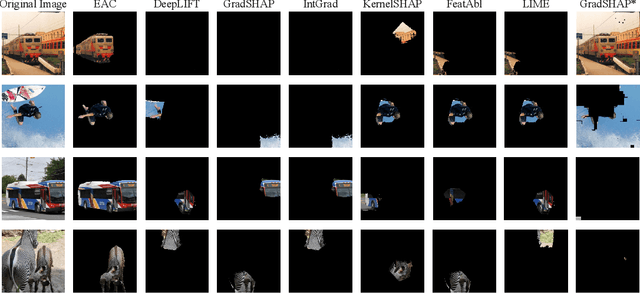 Figure 4 for Explain Any Concept: Segment Anything Meets Concept-Based Explanation