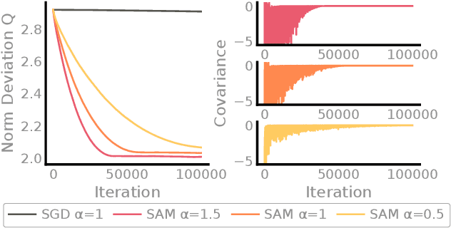 Figure 1 for Unpacking the Implicit Norm Dynamics of Sharpness-Aware Minimization in Tensorized Models