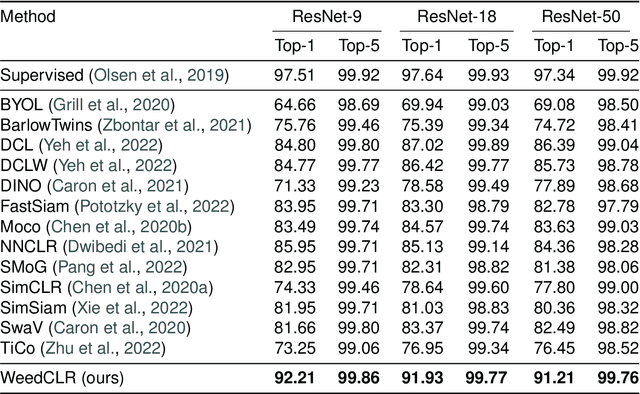 Figure 2 for WeedCLR: Weed Contrastive Learning through Visual Representations with Class-Optimized Loss in Long-Tailed Datasets