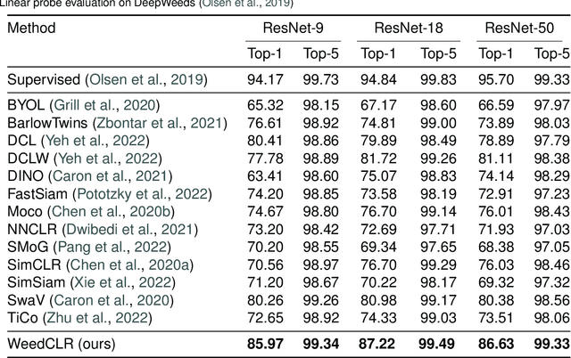 Figure 4 for WeedCLR: Weed Contrastive Learning through Visual Representations with Class-Optimized Loss in Long-Tailed Datasets