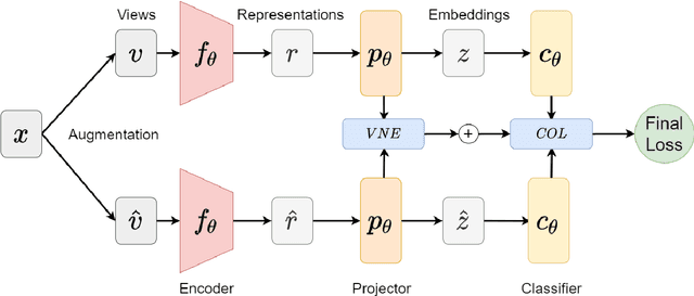 Figure 1 for WeedCLR: Weed Contrastive Learning through Visual Representations with Class-Optimized Loss in Long-Tailed Datasets