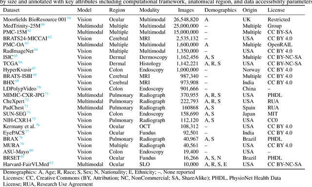 Figure 2 for Fair Foundation Models for Medical Image Analysis: Challenges and Perspectives
