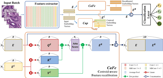 Figure 1 for Centroid-aware feature recalibration for cancer grading in pathology images