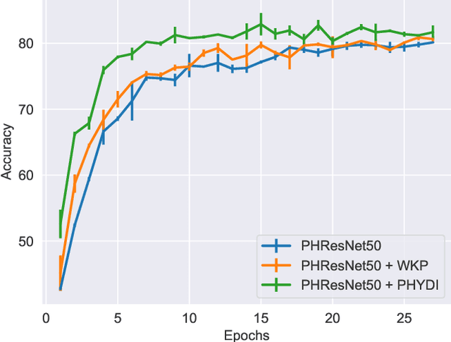 Figure 1 for PHYDI: Initializing Parameterized Hypercomplex Neural Networks as Identity Functions