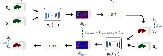 Figure 3 for Registration of Longitudinal Liver Examinations for Tumor Progress Assessment