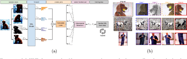 Figure 1 for Hard View Selection for Contrastive Learning