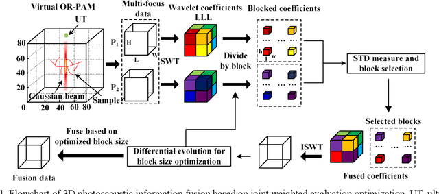 Figure 1 for Direct 3D information fusion for depth of field enhancement in optical-resolution photoacoustic microscopy