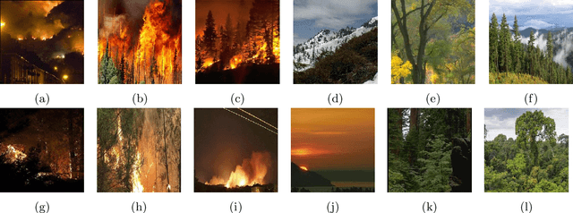 Figure 1 for Performance Analysis of Support Vector Machine (SVM) on Challenging Datasets for Forest Fire Detection