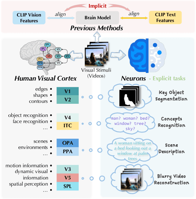 Figure 1 for Neurons: Emulating the Human Visual Cortex Improves Fidelity and Interpretability in fMRI-to-Video Reconstruction