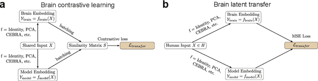 Figure 1 for Brain2Model Transfer: Training sensory and decision models with human neural activity as a teacher