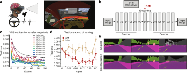 Figure 3 for Brain2Model Transfer: Training sensory and decision models with human neural activity as a teacher