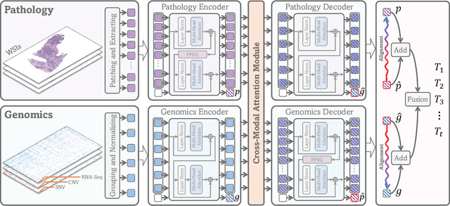 Figure 1 for Cross-Modal Translation and Alignment for Survival Analysis