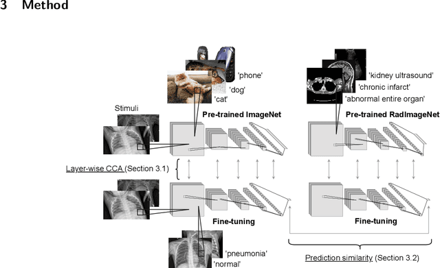 Figure 1 for Revisiting Hidden Representations in Transfer Learning for Medical Imaging
