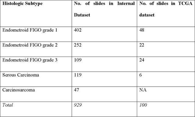 Figure 1 for Vision Transformer-Based Deep Learning for Histologic Classification of Endometrial Cancer