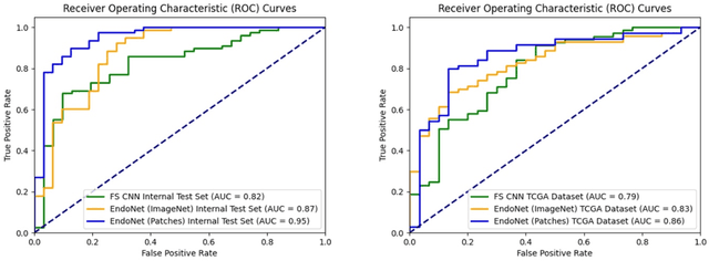 Figure 4 for Vision Transformer-Based Deep Learning for Histologic Classification of Endometrial Cancer