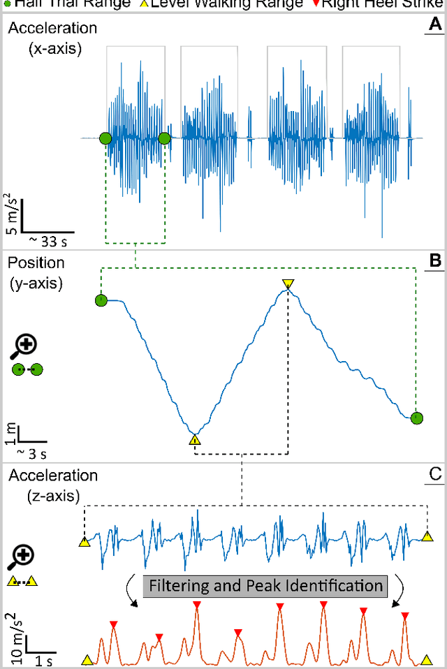 Figure 3 for Simplified markerless stride detection pipeline (sMaSDP) for surface EMG segmentation