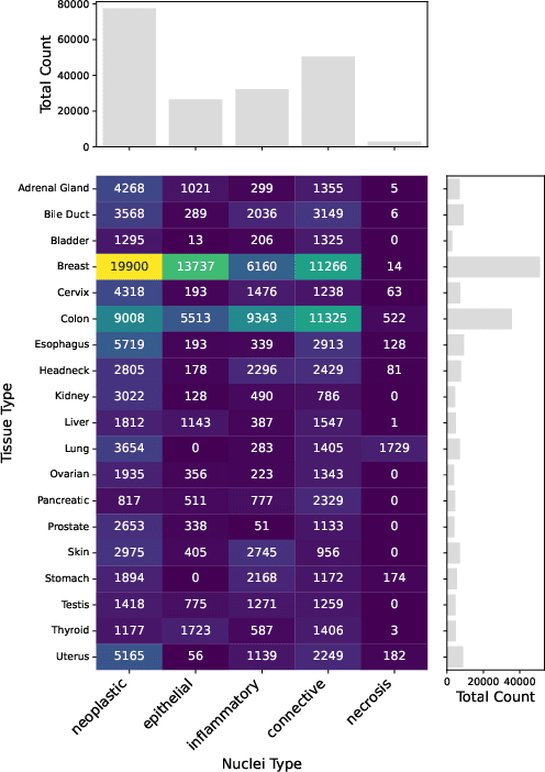 Figure 1 for Cell Nuclei Detection and Classification in Whole Slide Images with Transformers