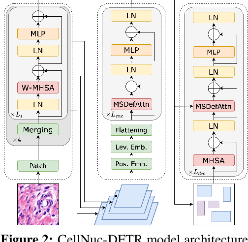Figure 3 for Cell Nuclei Detection and Classification in Whole Slide Images with Transformers