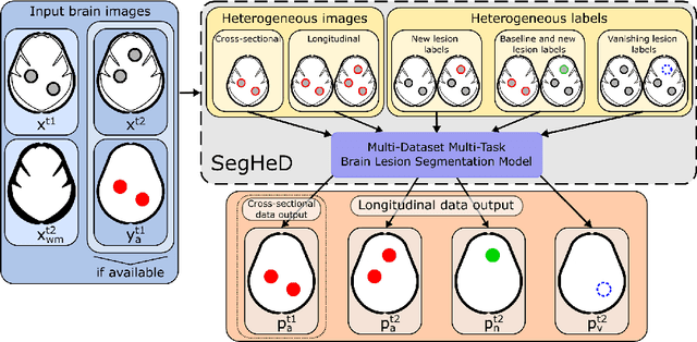 Figure 1 for SegHeD: Segmentation of Heterogeneous Data for Multiple Sclerosis Lesions with Anatomical Constraints
