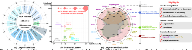 Figure 1 for Large-Scale 3D Medical Image Pre-training with Geometric Context Priors