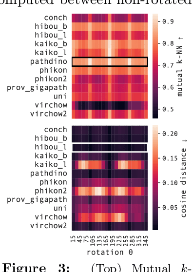Figure 3 for Are the Latent Representations of Foundation Models for Pathology Invariant to Rotation?