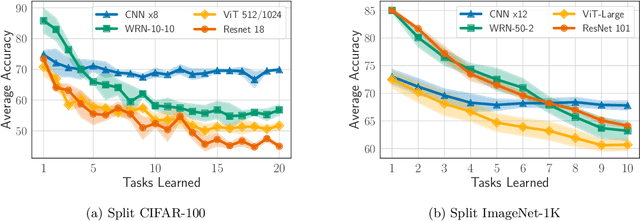 Figure 4 for Architecture Matters in Continual Learning