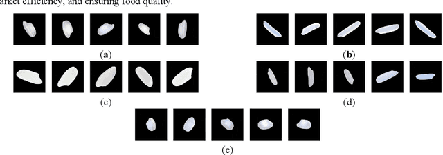 Figure 1 for Exploring Convolutional Neural Networks for Rice Grain Classification: An Explainable AI Approach