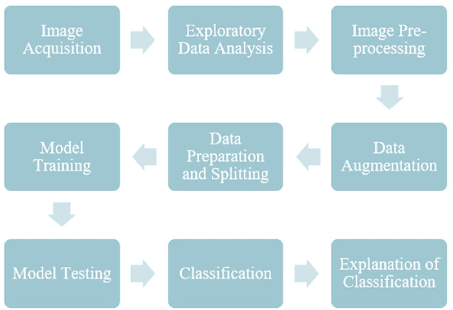 Figure 3 for Exploring Convolutional Neural Networks for Rice Grain Classification: An Explainable AI Approach