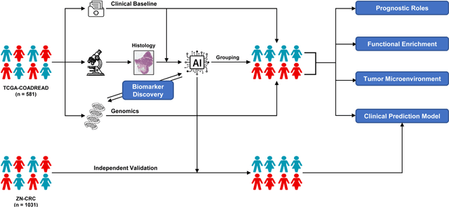 Figure 1 for Deep Pathomic Learning Defines Prognostic Subtypes and Molecular Drivers in Colorectal Cancer