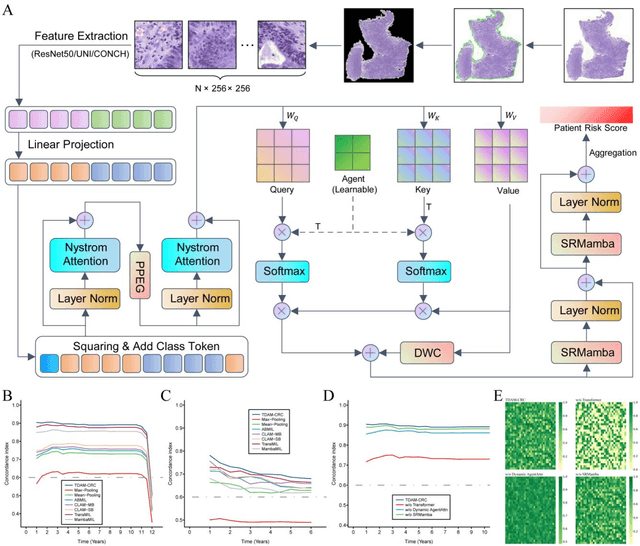 Figure 3 for Deep Pathomic Learning Defines Prognostic Subtypes and Molecular Drivers in Colorectal Cancer
