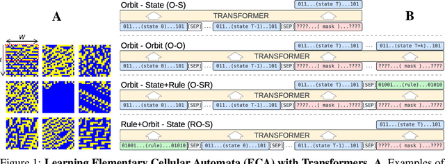 Figure 1 for Learning Elementary Cellular Automata with Transformers