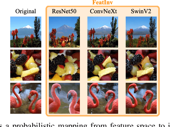 Figure 1 for FeatInv: Spatially resolved mapping from feature space to input space using conditional diffusion models