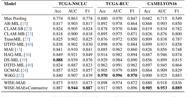Figure 2 for Learning from the Right Patches: A Two-Stage Wavelet-Driven Masked Autoencoder for Histopathology Representation Learning