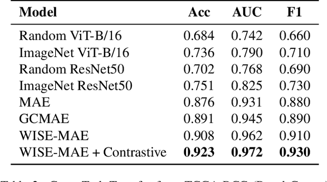 Figure 4 for Learning from the Right Patches: A Two-Stage Wavelet-Driven Masked Autoencoder for Histopathology Representation Learning
