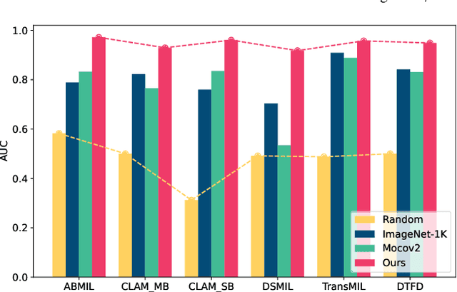 Figure 1 for Task-oriented Embedding Counts: Heuristic Clustering-driven Feature Fine-tuning for Whole Slide Image Classification