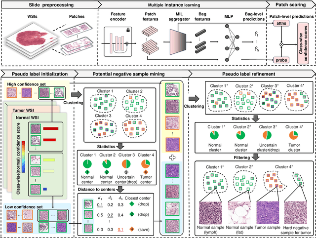 Figure 3 for Task-oriented Embedding Counts: Heuristic Clustering-driven Feature Fine-tuning for Whole Slide Image Classification