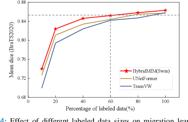 Figure 4 for HybridMIM: A Hybrid Masked Image Modeling Framework for 3D Medical Image Segmentation