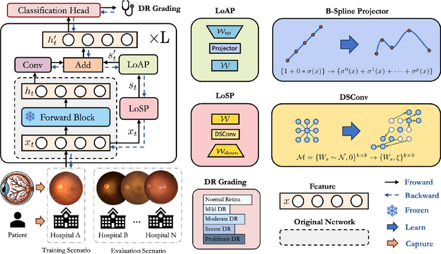 Figure 1 for Low-Rank Adaptive Structural Priors for Generalizable Diabetic Retinopathy Grading