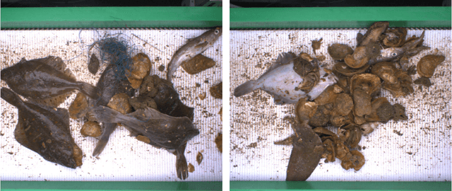 Figure 2 for Improved detection of discarded fish species through BoxAL active learning